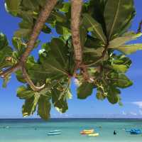 全室オーシャンビュー🏖5つ星ホテルで過ごすグアム🌴