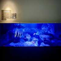 すみだ水族館