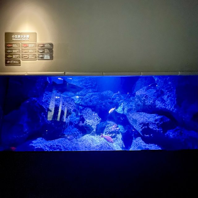 すみだ水族館