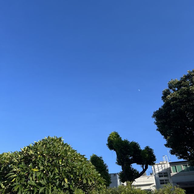人煙稀少的汀九沙灘🫶🏻