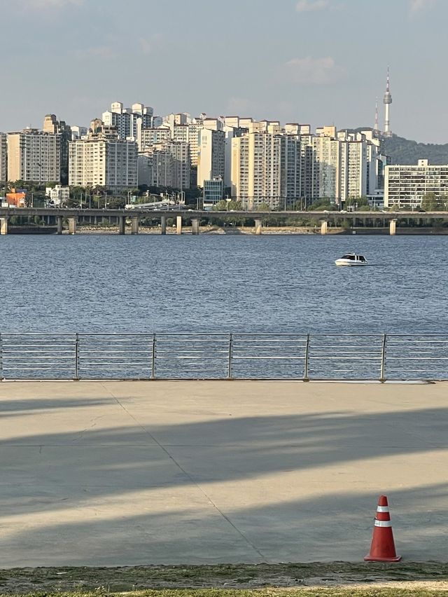 < 서울 여행 > 여의도 한강 공원 피크닉 나들이 🏕️