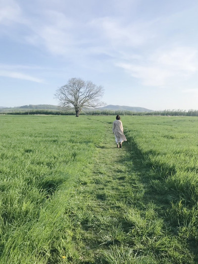 ★北海道・豊頃町ハルニレノ大木・肉筆油彩画・F6キャンバス ☆北海道・豊頃町ハルニレノ大木・肉筆油彩画・F6キャンバスの