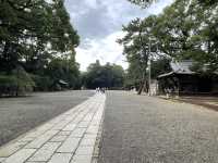 参道がものすごく長い！氷川神社！