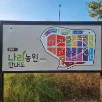 양주천일홍축제 가을 물빛 가득한 양주나리농원