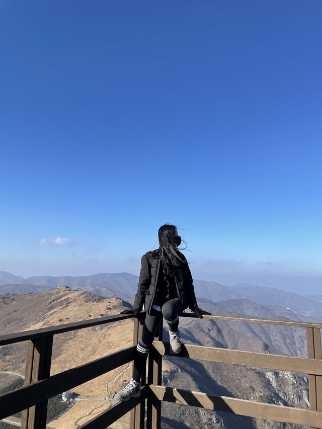 [울산]지금 완전 핫한 간월재 피크닉❣️
