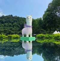 大埔蝶豆花園 天空之鏡 親親大自然