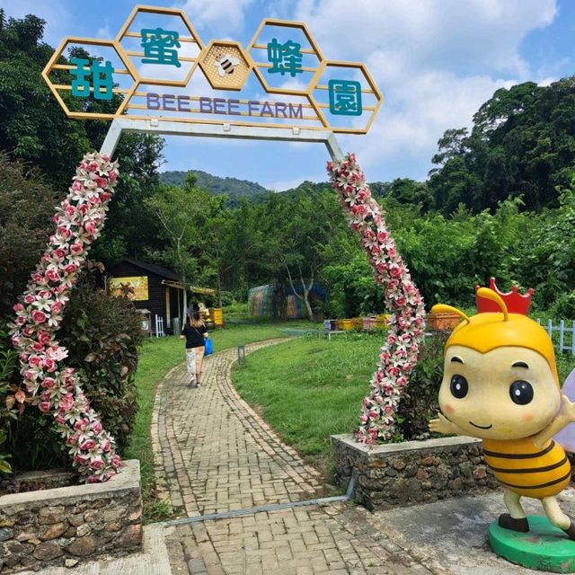 大埔蝶豆花園 天空之鏡 親親大自然