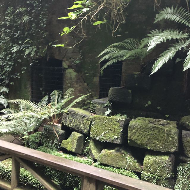 【SARUSHIMA 】アニメを見たのは中二だった。