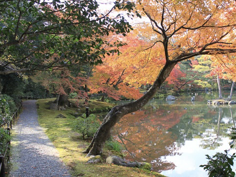 Kinnkakuji Temple at Kyoto Japan 🇯🇵 