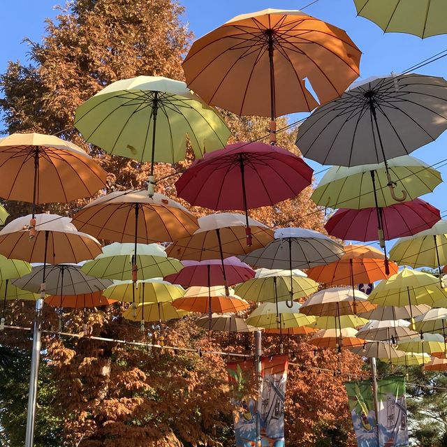 할로윈은 경주월드에서!!🍁🍂🤎