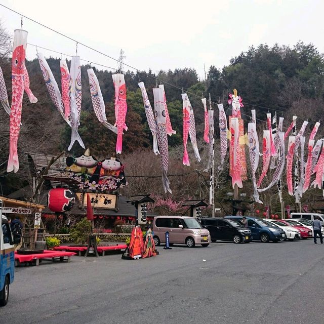 お祭り⁉️山の中に観光地⁉️名物🍴山賊焼🍗‼️