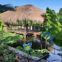 ELEANOR'S HAPPY FARM: NICE STOP IN CORON