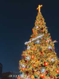 서울시청광장에 설치된 트리🎄