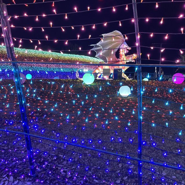 【千葉県】煌めく虹のトンネルを楽しむ！