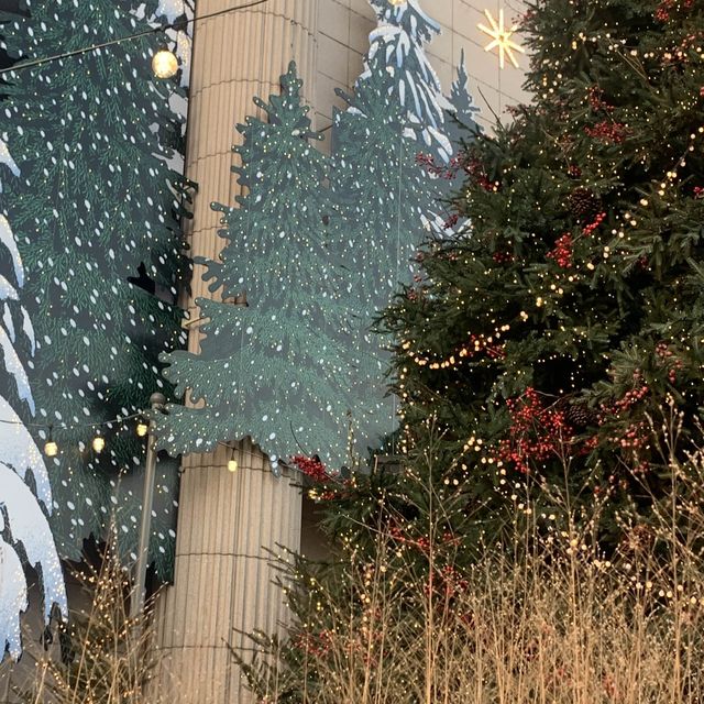 압구정 현대백화점에 찾아온 크리스마스 🎄
