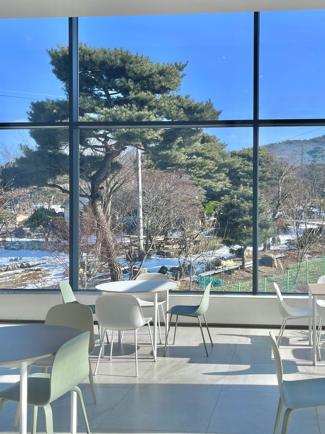 백운호수 카페_🤍호야스🤍