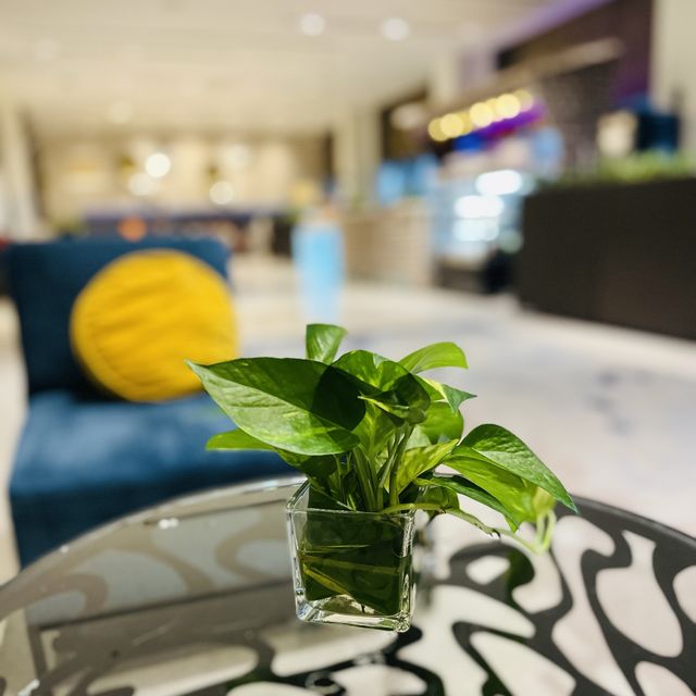 A relaxing staycation at Savoy Hotel Manila