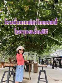 ไร่องุ่นหมื่นศิริ จุดเช็คอินกับองุ่นปังปัง