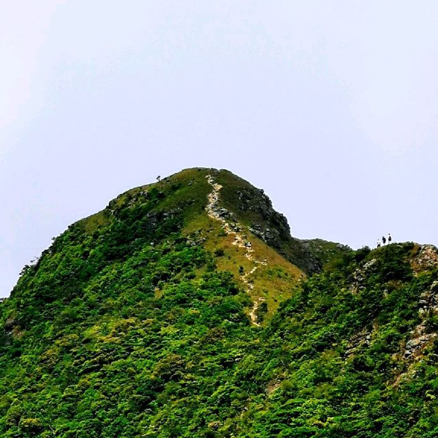 登西狗牙坐看醉美雲海