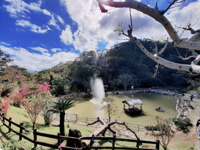 【新竹】休閒觀光農場|親子景點|鴛鴦池農場