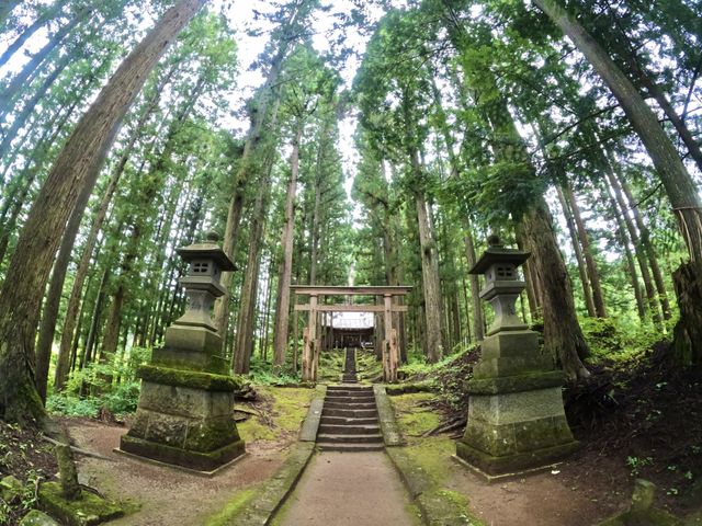【大自然】清々しく荘厳な雰囲気！？