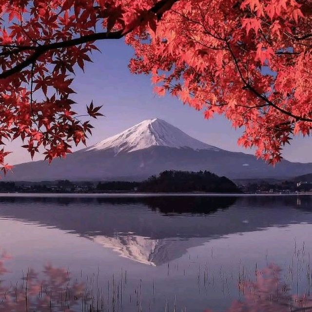 Fuji Mountain