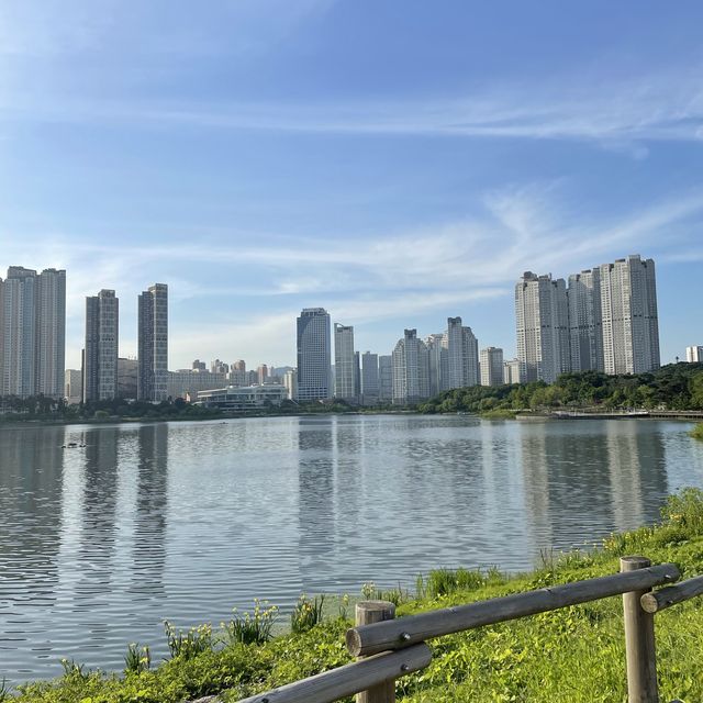 피크닉의 명소! 광교호수공원 🌳