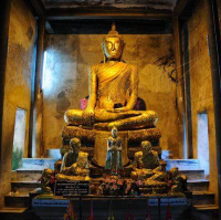 泰國景點-樹中佛寺