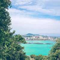 제주 동쪽 오름추천 '함덕서우봉'