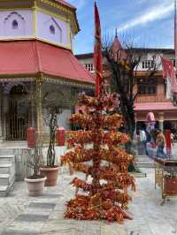Nainital- A Small beautiful Hill Station 