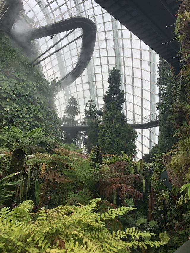 Visit the Cloud Forest when in Singapore! 