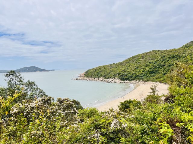 籮箕灣