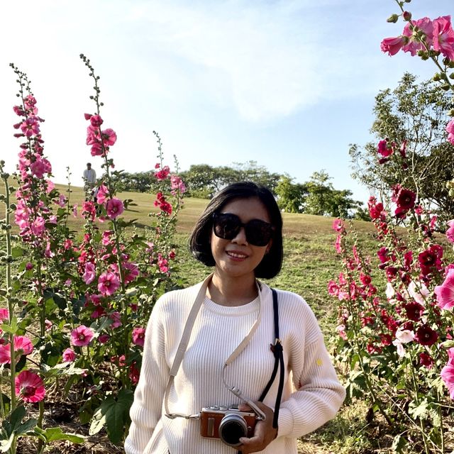 สิงห์ปาร์ค เที่ยวหน้าหนาวจะผิดหวังได้ไง สวยมาก