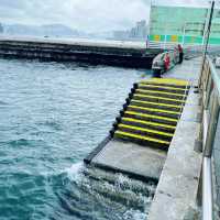 金紫荊廣場睇埋無敵海景