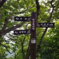 덕항산 등산 