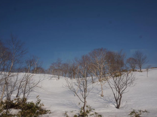 北海道神秘之湖｜摩周湖🤩🤩