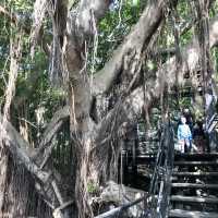 台南版的「塔普倫寺」 🌳
