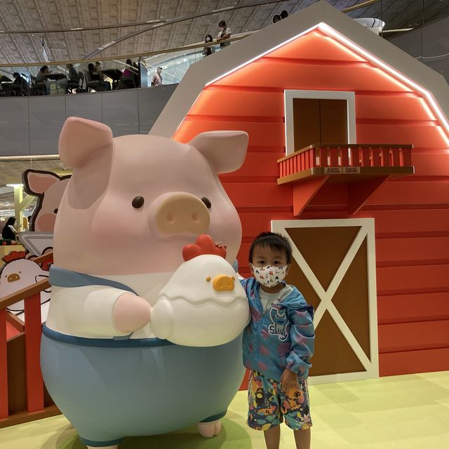 夏日綠『豚』園