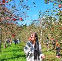 #Apple picking