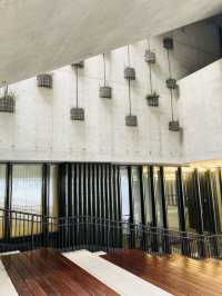 【香港博物館好去處】 M+ 視覺文化博物館｜簡約工業風打卡一流。衝擊視覺的藝術之旅