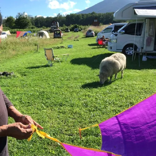 【北海道】星に手の届く丘キャンプ場🐑🐑🐑