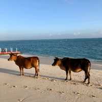 Mantanani Island the paradise 
