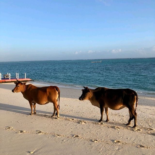 Mantanani Island the paradise 