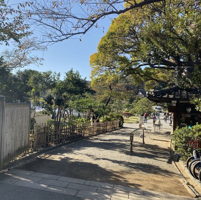 🪴 信步悠美的日式庭園 - 橫濱 三渓園