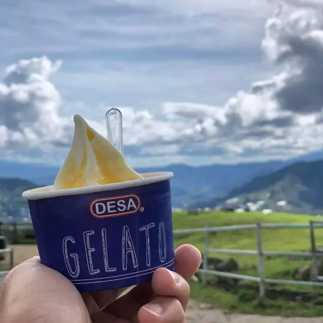 Froyo with a great view - Kundasang