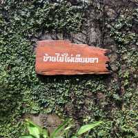 ✨แม่กำปองคนเดียวก็เที่ยวได้.😊