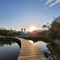 美麗如畫的濕地公園🏞