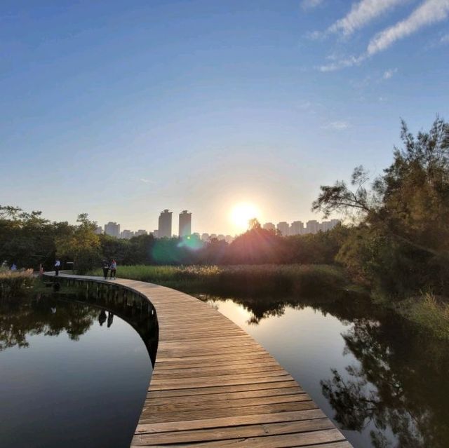美麗如畫的濕地公園🏞