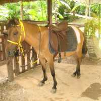 Lost World of Tambun Theme Park