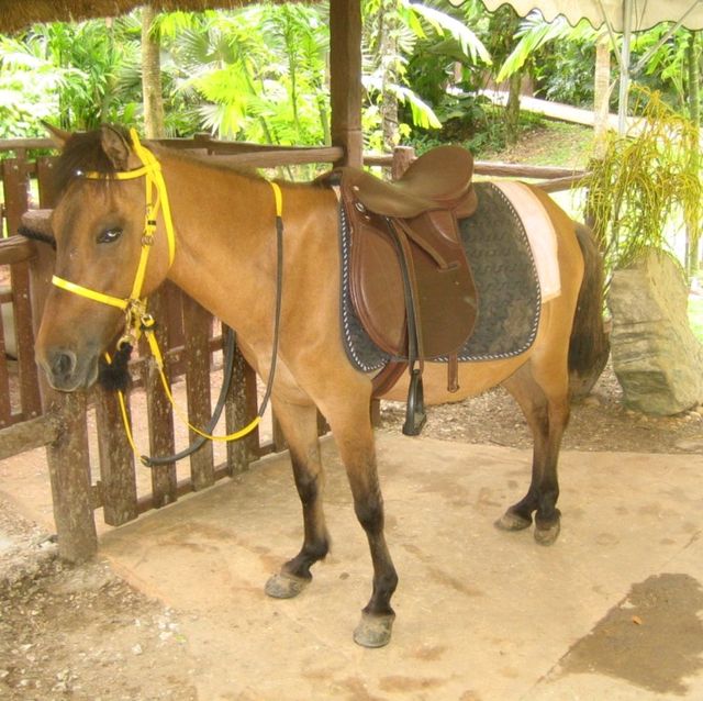 Lost World of Tambun Theme Park